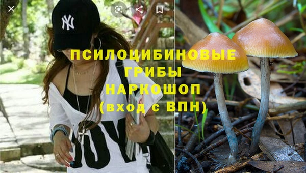 Альфа ПВП Рославль